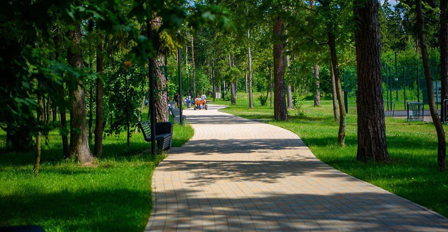 Общественные советы парков будут созданы в каждом муниципалитете Подмосковья