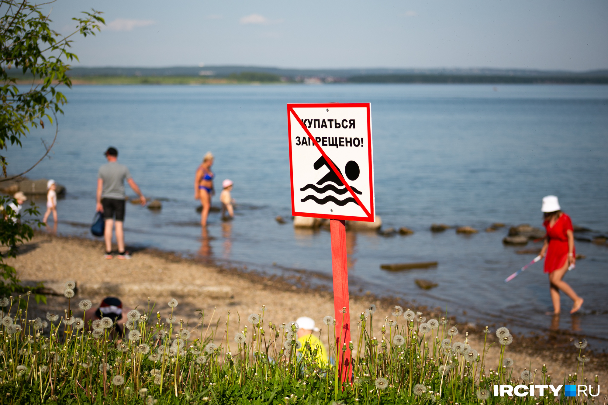 Можно ди купаться. Купаться запрещено. Купаться запрещено плакат. Купание запрещено табличка. Пляжи Подмосковья.