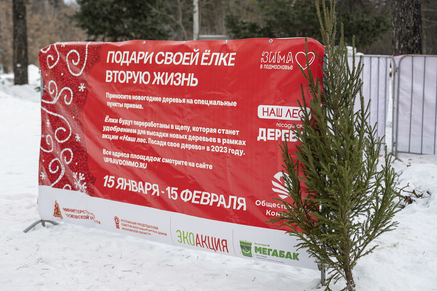 Экологическая акция «Подари своей елке вторую жизнь» стартовала в Ленинском округе