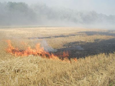 Введен запрет на бесконтрольное выжигание сухой травянистой растительности, стерни, пожнивных остатков на землях сельскохозяйственного назначения