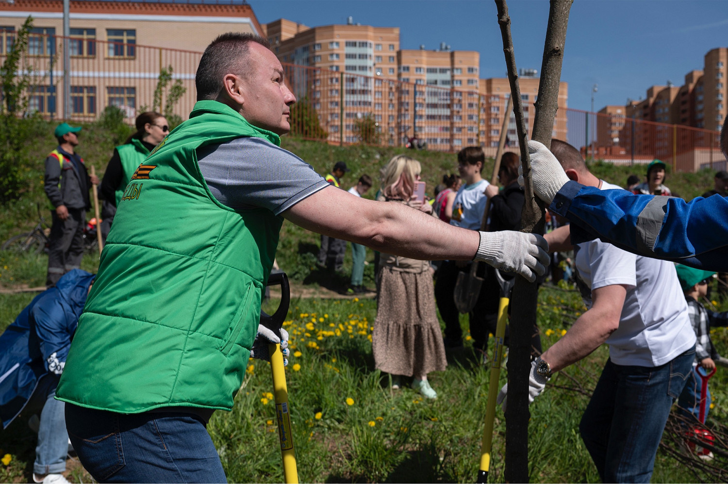 3 тысячи жителей Ленинского округа высадили деревья в рамках акции «Лес Победы»