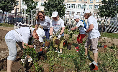 Участники проекта «Активное долголетие» продолжают озеленять город Видное
